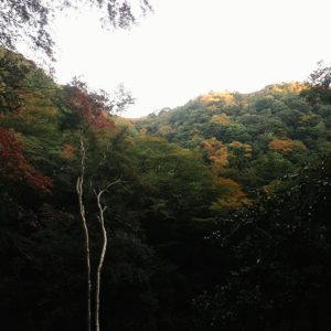 美濃の滝